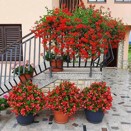 Apartman Martina Apartman *